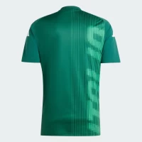Maglia pre-partita maschile Italia 24-25